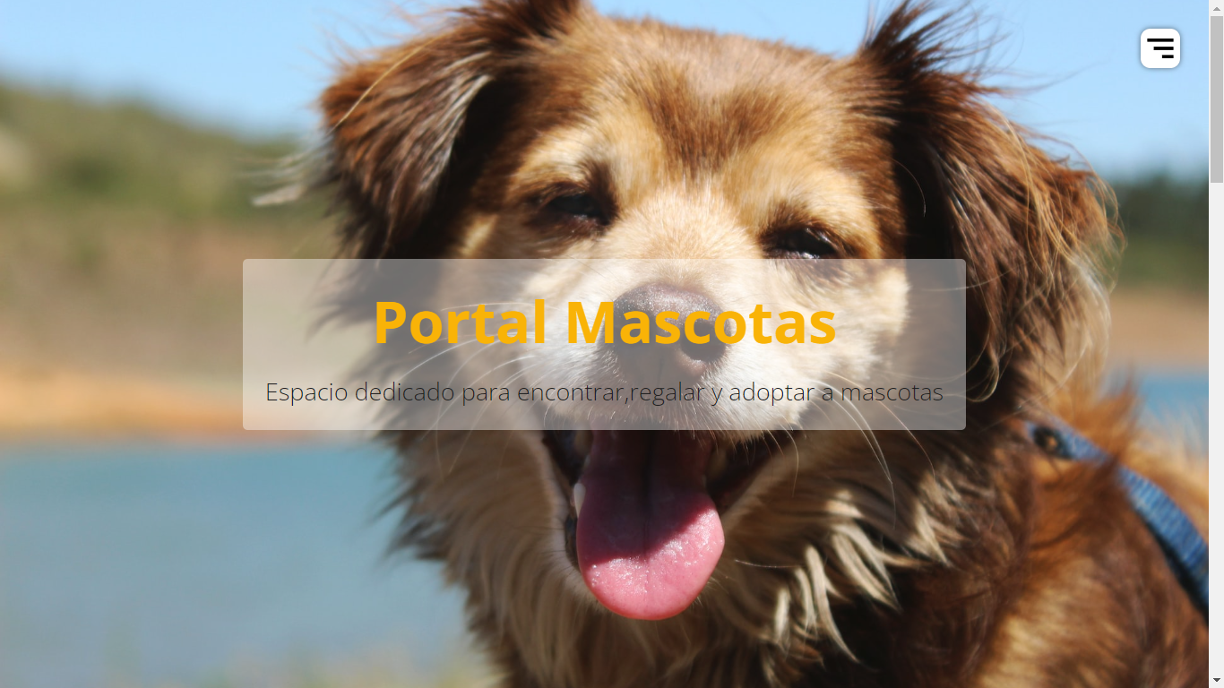 projecto portal de mascotas