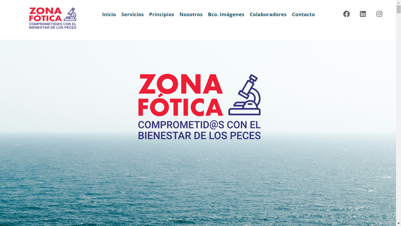 Sitio oficial de la consultora Zona Fótica